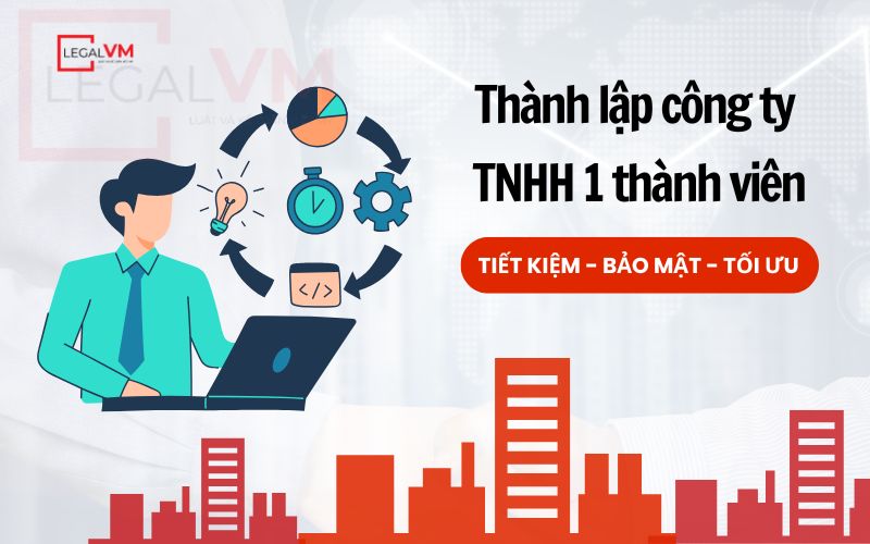 Lợi ích khi sử dụng dịch vụ thành lập công ty trách nhiệm hữu hạn 1 thành viên tại Việt Mỹ Law