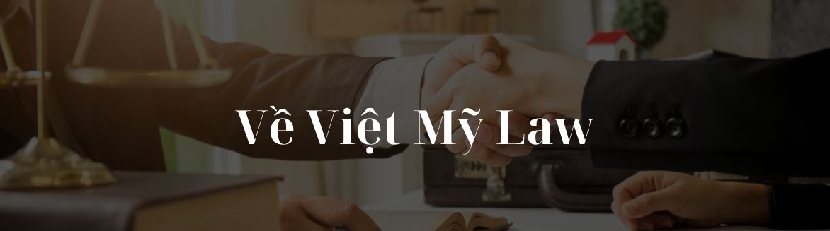 Giới thiệu về Việt Mỹ Law