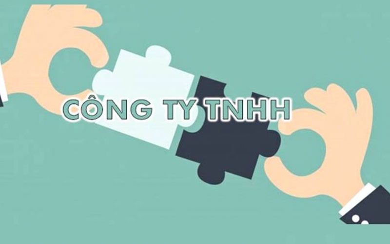Quy-dinh-ve-cong-ty-tnhh