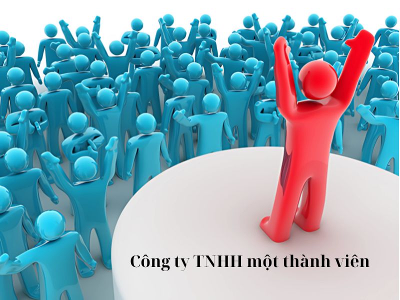 Công ty TNHH 1 thành viên là gì?