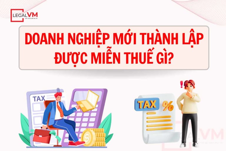 Công ty mới thành lập được miễn thuê gì
