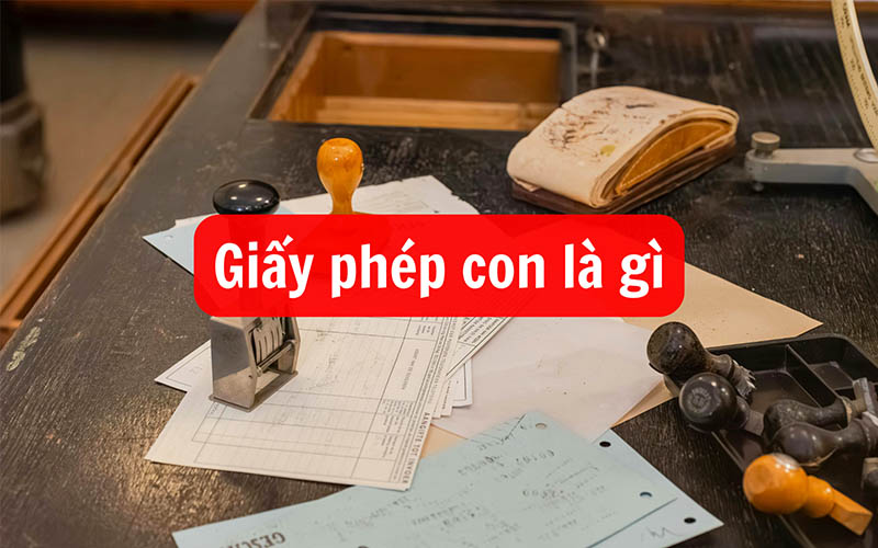 dich-vu-xin-giay-phep-con-la-gi