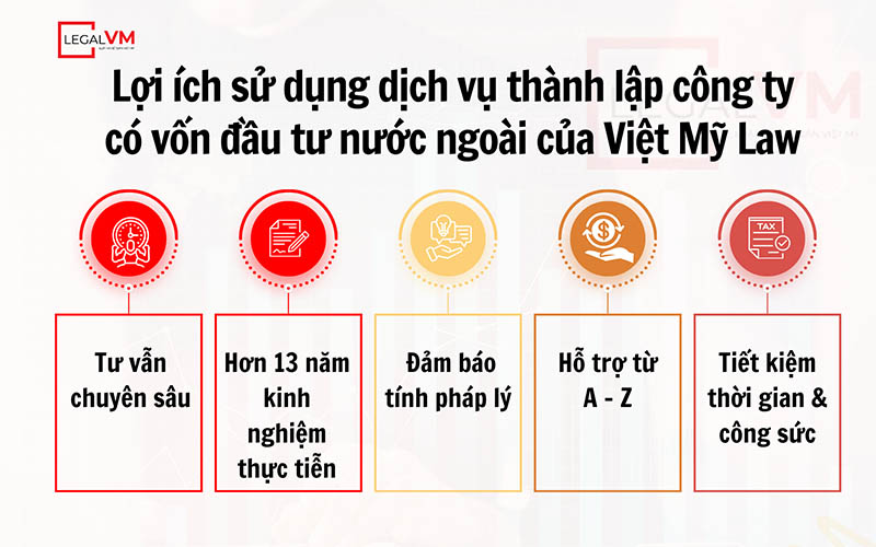 loi-ich-dich-vu-thanh-lap-cong-ty-co-von-dau-tu-nuoc-ngoai-tai-viet-my-law