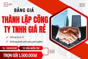 Bảng giá thành lập công ty tnhh giá rẻ tại Việt Mỹ Law